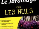 Jardinage Pour Les Nuls : Édition Spéciale Québec Par Liz ... concernant Jardiner Pour Les Nuls