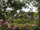Je Crée Un Jardin De Style Anglais - M6 Deco.fr encequiconcerne Comment Créer Un Jardin Anglais