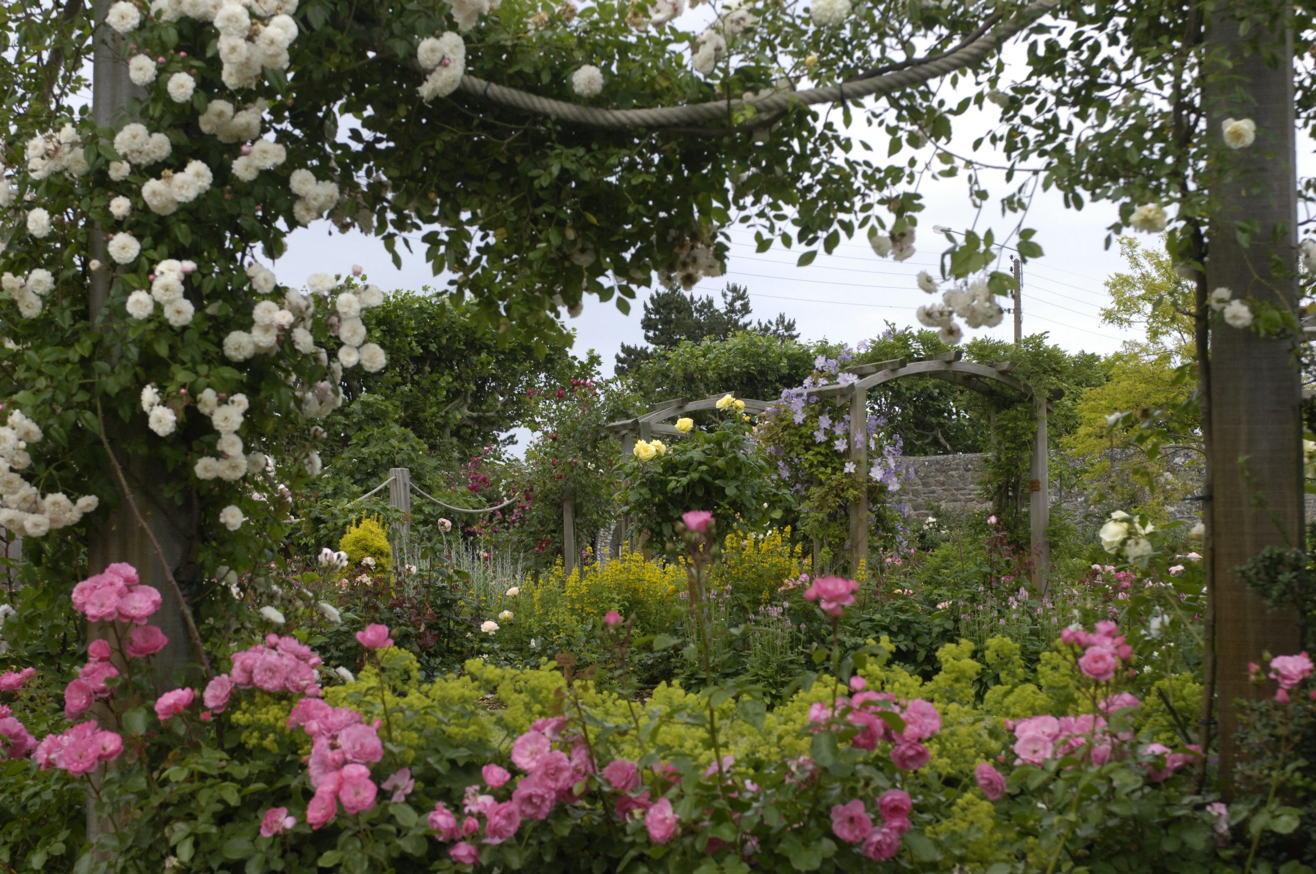 Je Crée Un Jardin De Style Anglais - M6 Deco.fr encequiconcerne Comment Créer Un Jardin Anglais