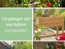Je Veux Un Potager Sur Mon Balcon | Jardinage Balcon ... tout Un Jardin Sur Mon Balcon