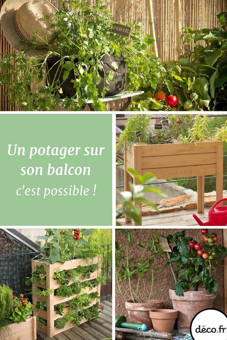 Je Veux Un Potager Sur Mon Balcon | Jardinage Balcon ... tout Un Jardin Sur Mon Balcon