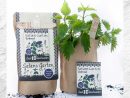 Kits À Planter - Mini Jardin à Jardin En Kit Pret A Planter
