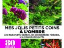 L'ami Des Jardins Hors-Série - Juin 2018 Télécharger Pdf ... concernant L Ami Des Jardins Hors Série