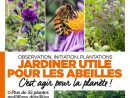 L'ami Des Jardins Hors-Serie N°208 encequiconcerne L Ami Des Jardins Hors Série