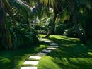 Le Jardin Paysager - Tendance Moderne De Jardinage ... pour Jardin De Reve Paysagiste