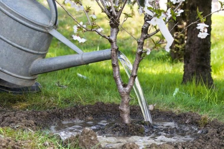Le Matériel D'arrosage De Jardin dedans Matériel D Arrosage De Jardin