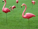 Le Père Des Flamants Roses En Plastique N'est Plus | Le Devoir concernant Flamant Rose Jardin