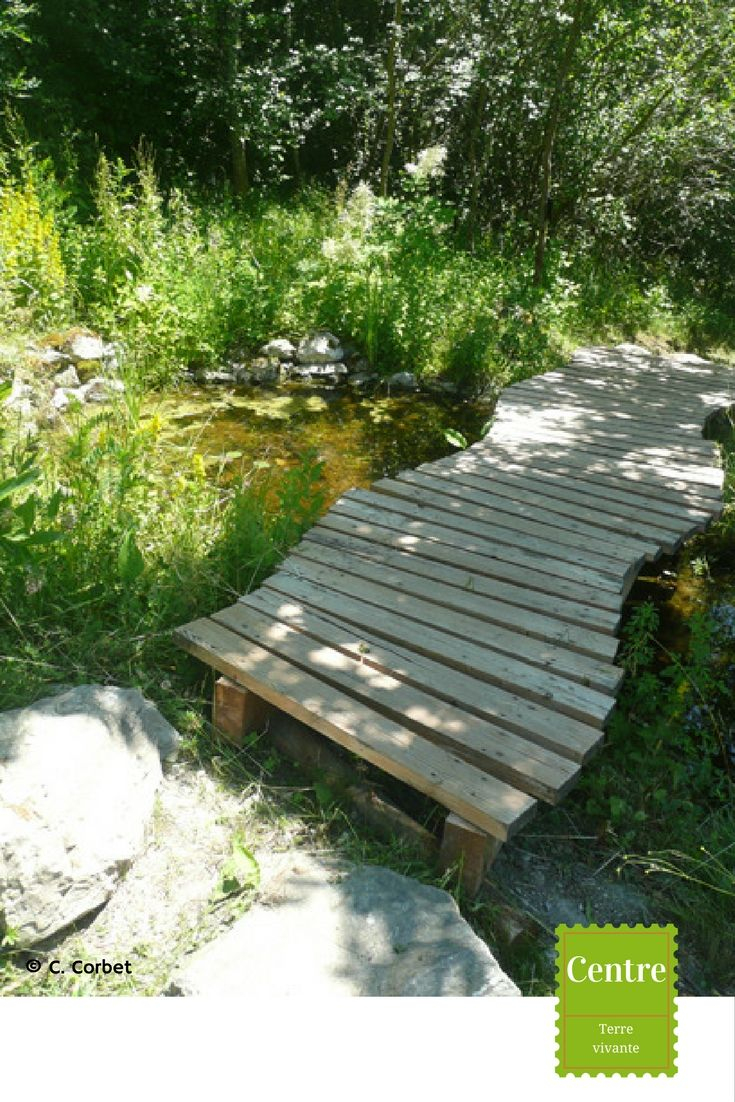 Le Petit Pont De Bois... | Pont En Bois, Petits Ponts, Pont concernant Pont De Jardin En Bois