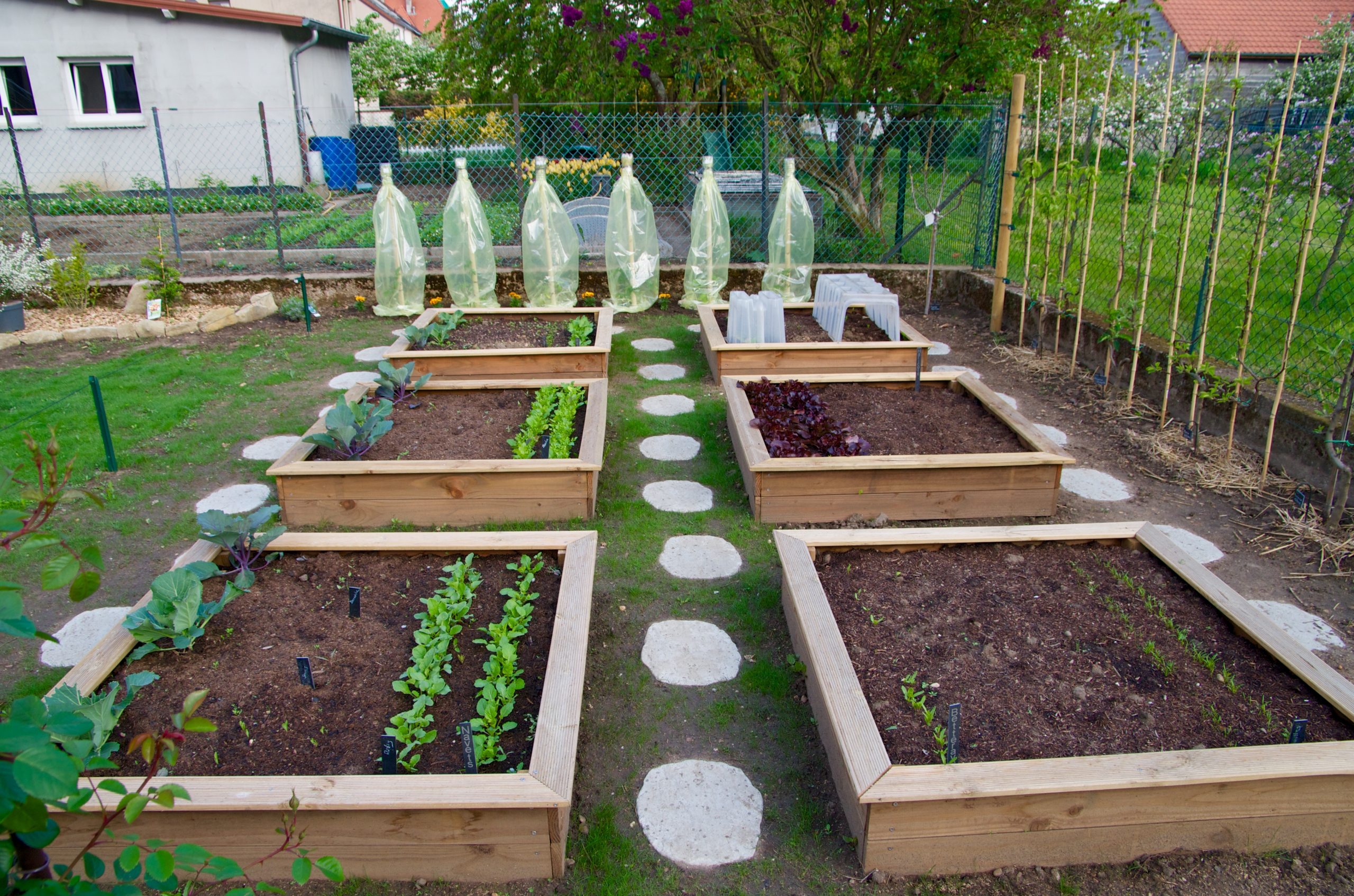 Le Top 5 Des Fruits Et Légumes À Cultiver Dans Son Jardin ... à Jardin En Carre