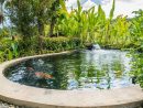 L'entretien D'un Bassin De Jardin En Automne Et En Hiver pour Entretien D Un Bassin De Jardin