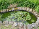 L'entretien D'un Bassin D'ornement Dans Le Jardin encequiconcerne Entretien D Un Bassin De Jardin