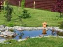 Les Bassins D'agrément Pour Votre Jardin avec Prix D Un Bassin De Jardin