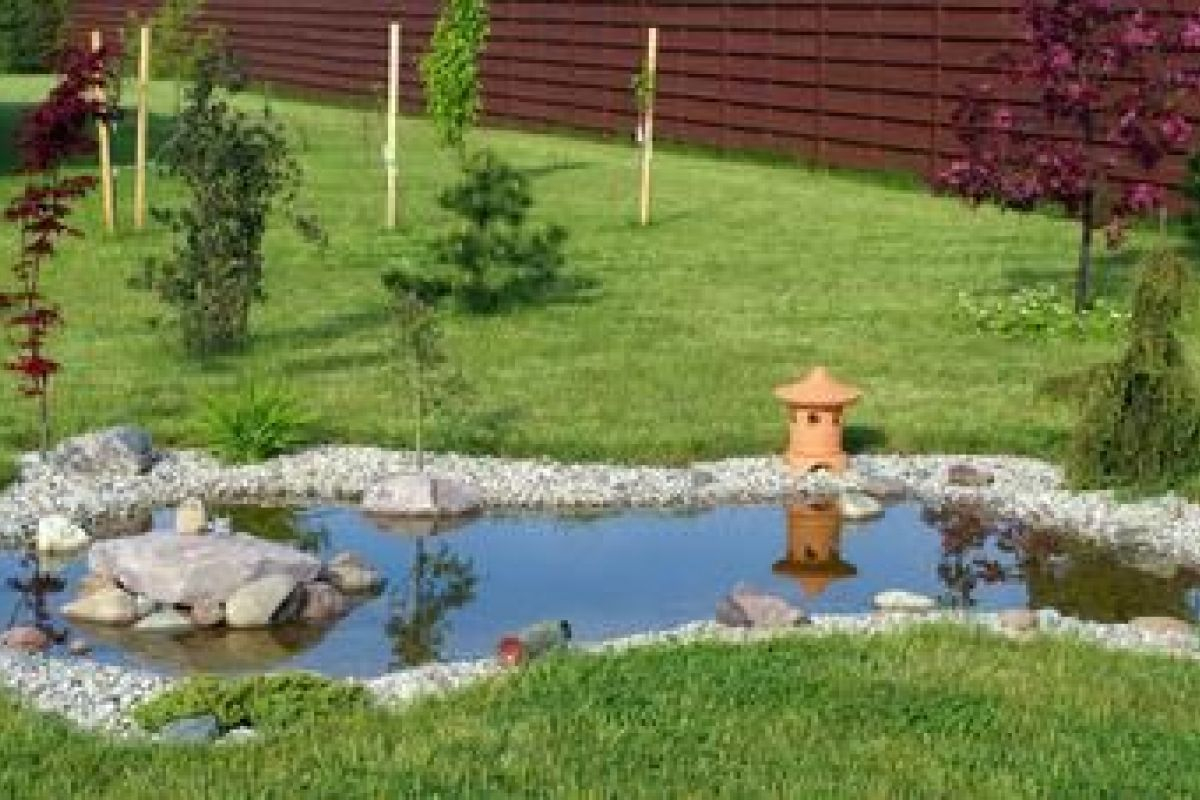 Les Bassins D'agrément Pour Votre Jardin avec Prix D Un Bassin De Jardin
