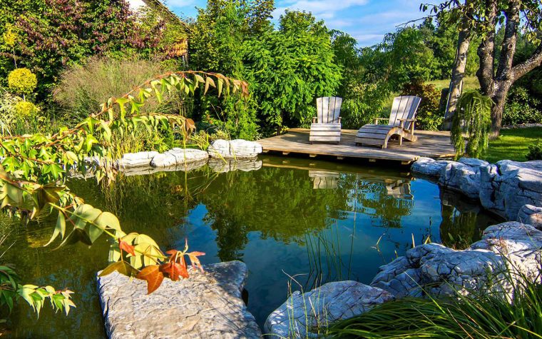 Les Meilleures Pompes Pour Bassin : Le Guide Complet avec Pompe Pour Bassin De Jardin Les Meilleures Pompes Pour Bassin : Le Guide Complet avec Pompe Pour Bassin De Jardin