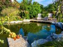 Les Meilleures Pompes Pour Bassin : Le Guide Complet destiné Prix D Un Bassin De Jardin