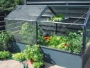 Magazine Lifestyle | Jardiner En Confinement : Un Potager ... intérieur Jardin Potager De Balcon