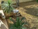 Marcadier Paysage-Aménagement De Votre Jardin À Mauguio concernant Amenagement Jardin Exterieur Mediterraneen