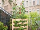 Marie Claire Maison | Jardins Urbains, Potager Vertical, Jardins à Un Jardin Sur Mon Balcon
