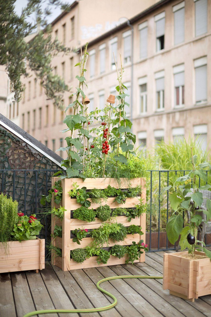 Marie Claire Maison | Jardins Urbains, Potager Vertical, Jardins à Un Jardin Sur Mon Balcon