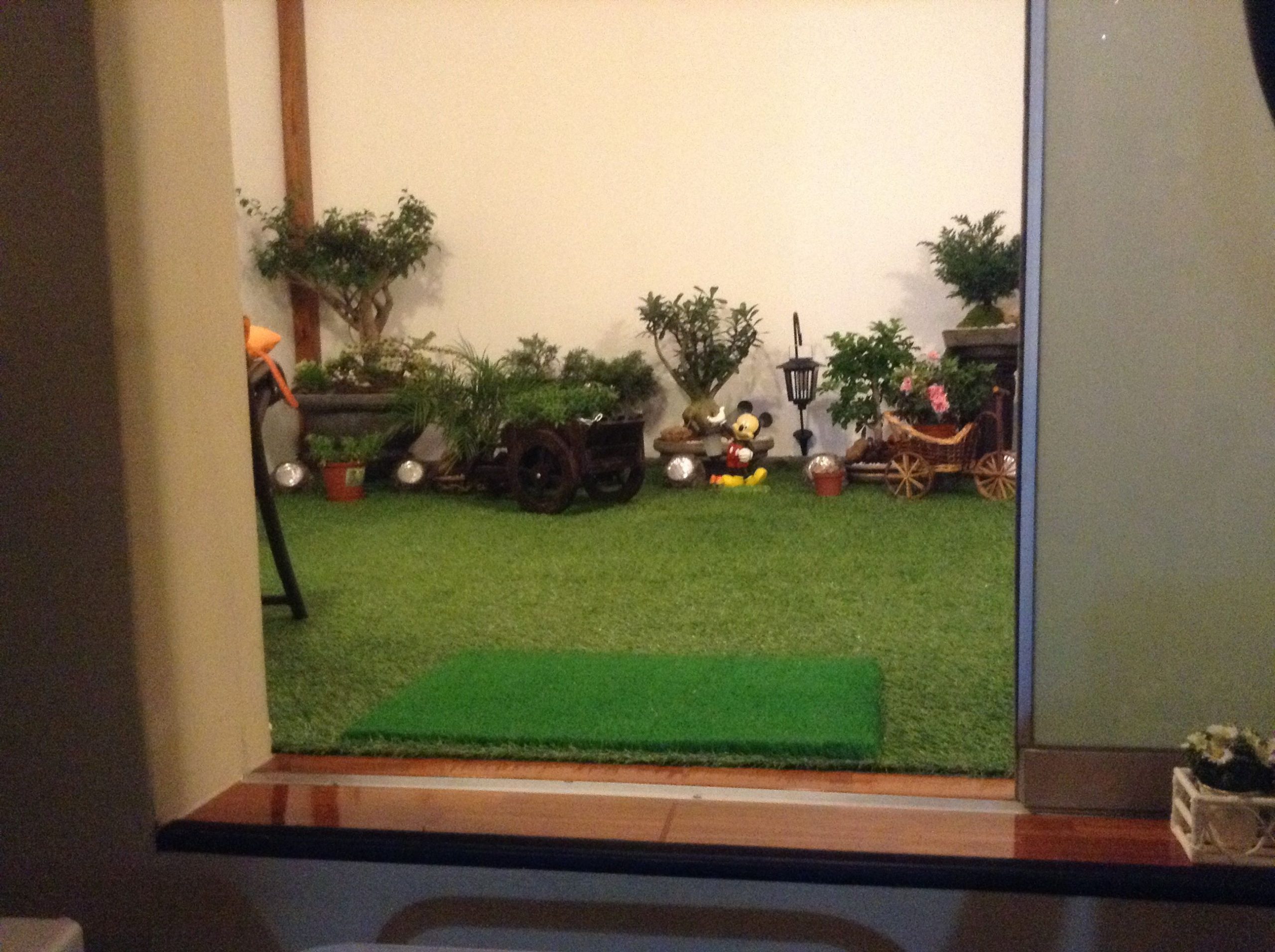 Mini Jardín Interior | Decor, Home Decor, Golf Courses avec Mini Jardin Interieur