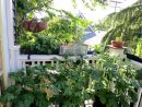 Mon Premier Potager De Balcon – Groww destiné Un Jardin Sur Mon Balcon