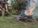 Mon Voisin Brûle Des Déchets Verts Dans Son Jardin destiné Bruler Feuilles Jardin