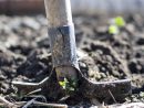 My Garden Ready To Plant - Draw Me A Garden tout Jardin En Kit Pret A Planter