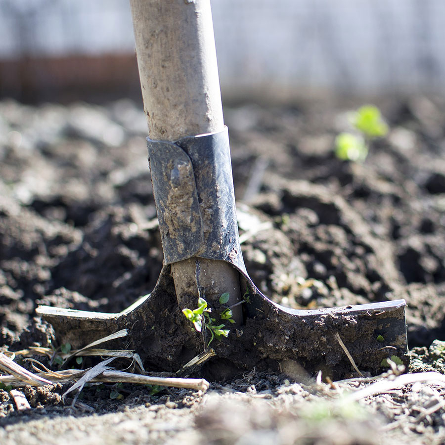 My Garden Ready To Plant - Draw Me A Garden tout Jardin En Kit Pret A Planter