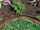 Oogarden - Bordure De Jardin En Caoutchouc - Ecoborder intérieur Bordure Caoutchouc Jardin