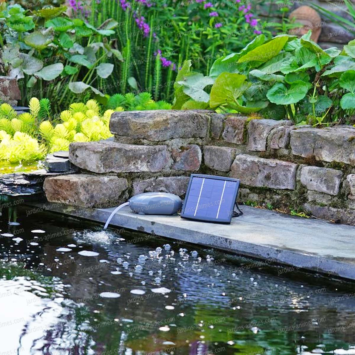 Pompe D'aération Solaire Pour Bassin encequiconcerne Prix D Un Bassin De Jardin