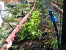 Potager 2017 - 04 - Nouvel Arrosage Du Potager concernant Systeme Arrosage Jardin Potager