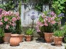 Pots Et Cache-Pots : Carnet D'inspiration | Schilliger à Pot En Fonte Pour Jardin