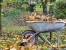 Pourquoi Il Ne Faut Jamais Brûler Les Feuilles Mortes Du ... intérieur Bruler Feuilles Jardin