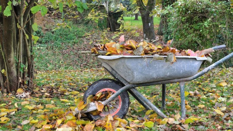 Pourquoi Il Ne Faut Jamais Brûler Les Feuilles Mortes Du ... intérieur Bruler Feuilles Jardin