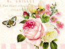 Ppd Jardin Rose Napkins, 20 Pieces, Table Napkins, Tissue, Colorful, 33 X  33 Cm, 6278 At About-Tea.de Shop serapportantà Table Jardin Rose