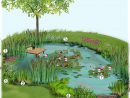 Projet Aménagement Jardin : Bassin Naturel Au Jardin ... dedans Amenagement De Bassins De Jardin