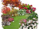 Projet Aménagement Jardin : Les Plantes De Terre De Bruyère ... tout Plantes Pour Jardin Japonais