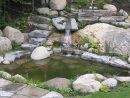 Projet Aménagement Paysager | Jardin D'eau | Maxhorti intérieur Chute D Eau Bassin De Jardin