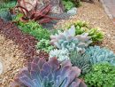 Quelles Plantes Pour Son Jardin Sec – Idées Et Conseils ... avec Creer Un Jardin Sec