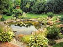 Réaliser Et Entretenir Un Bassin De Jardin | Hornbach Suisse concernant Prix D Un Bassin De Jardin