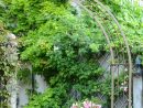 Repensez L'aménagement De Votre Jardin | Schilliger destiné Arceaux Jardin