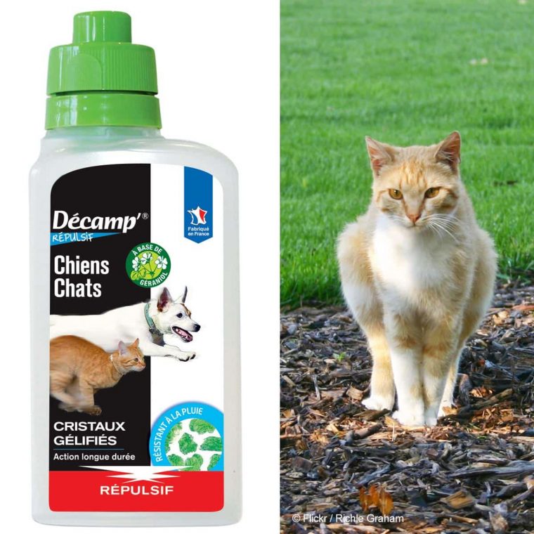 Répulsif Chiens &amp; Chats En Cristaux Longue Durée 500G encequiconcerne Repulsif Chat Pour Jardin