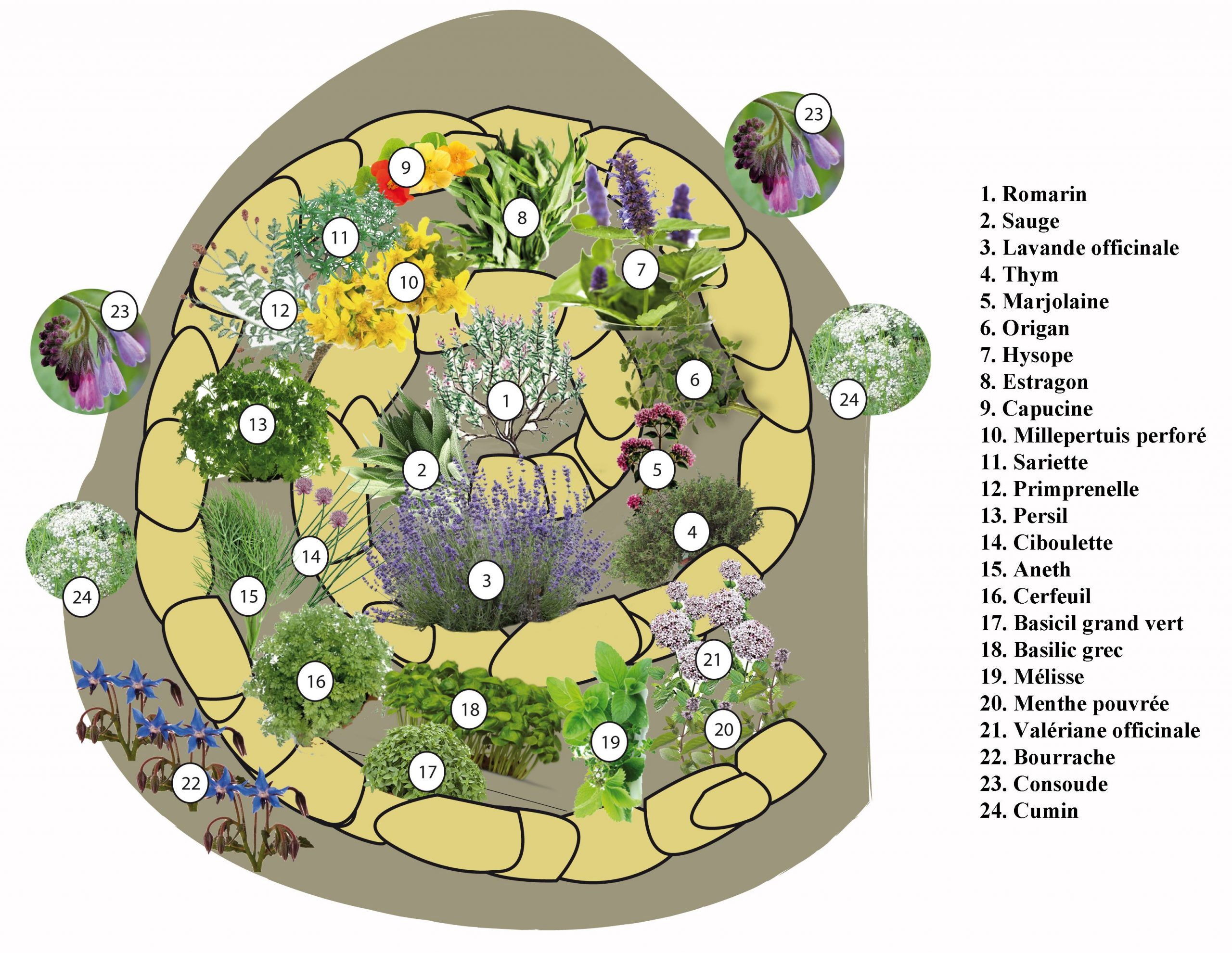 Résultat De Recherche D'images Pour &quot;spirale Aromatique ... tout Idee De Plantation Pour Jardin
