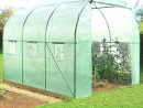 Serre De Jardin Polycarbonate Castorama – Gamboahinestrosa tout Serre De Jardin Brico Depot