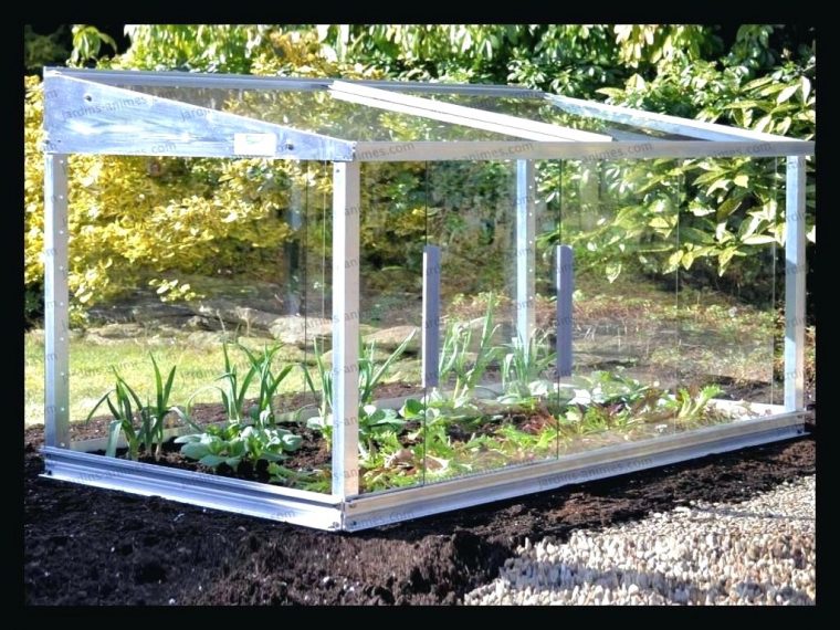 Offre Mini Serre De Jardin Parkside Chez Lidl à Mini Serre De Jardin