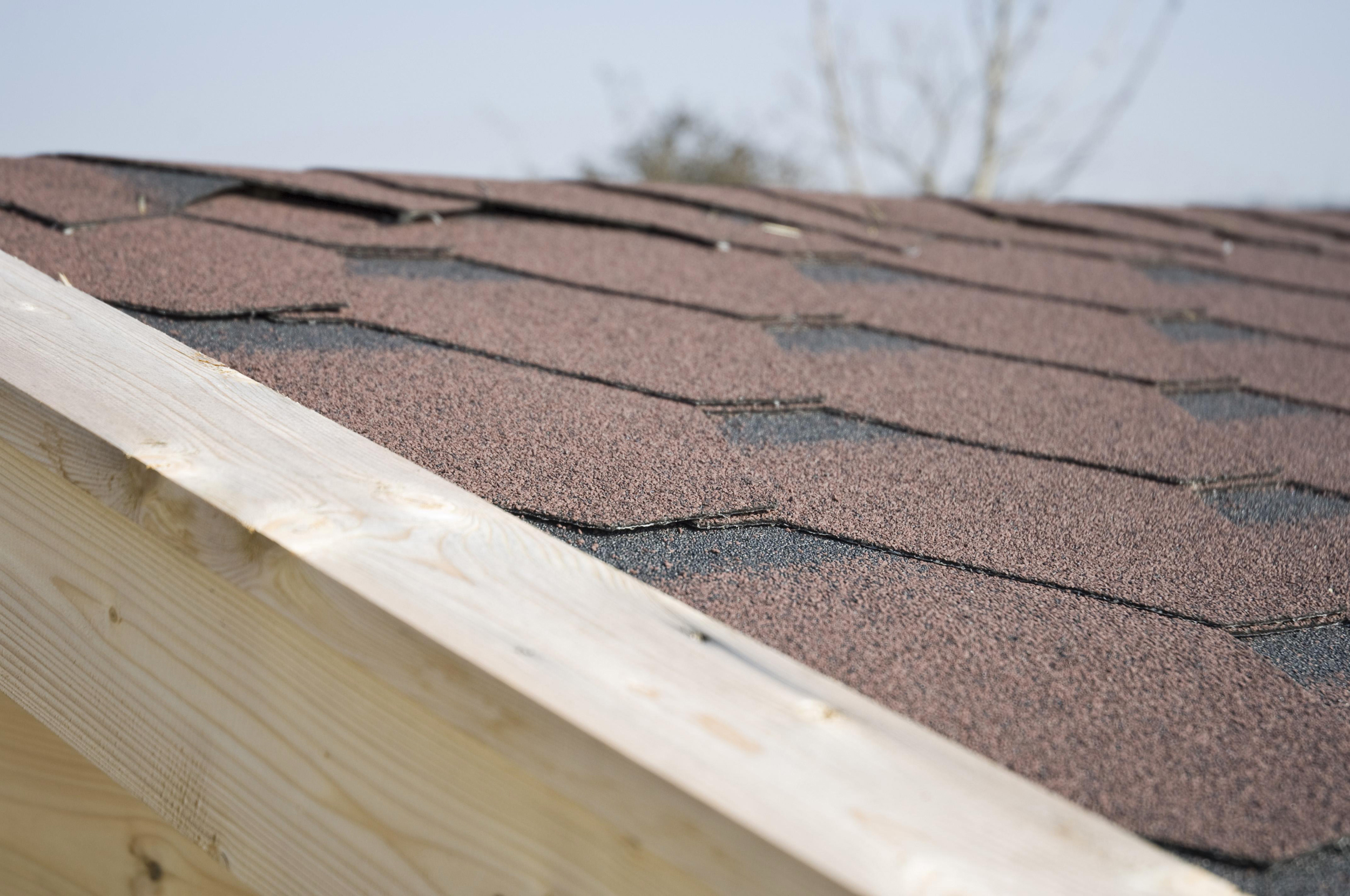 Shingle Vs Rouleau Bitumé, Choisir Le Meilleur Revêtement ... serapportantà Toit Bitumé Abri Jardin