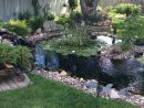 Side View Of Pond | Aménagement Jardin Bassin, Jardin D'eau ... intérieur Amenagement De Bassins De Jardin