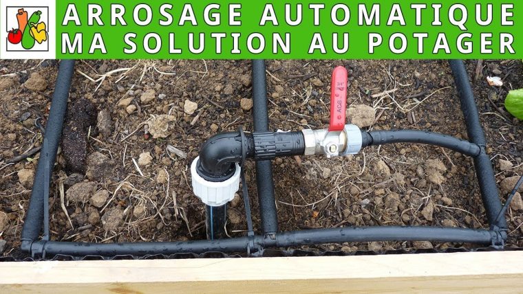 Solution D'arrosage Automatique Au Potager à Systeme Arrosage Jardin Potager