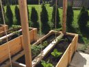Support À Tomates | Raised Bed Garden Design, Garden Planter ... à Bac En Bois Pour Jardin