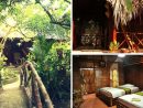 Top 10 Homestay Bến Tre Rẻ - Đẹp - Mát Rượi Đậm Chất Miền Tây destiné Jardin Du Mekong Homestay